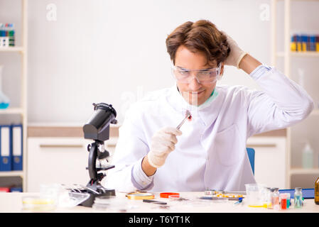 The male entomologist working in the lab on new species Stock Photo