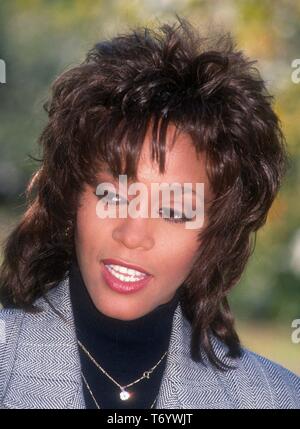 Whitney Houston 1995 Photo By John Barrett/PHOTOlink.net Stock