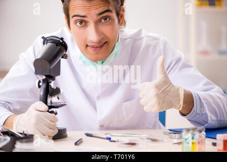 Male entomologist working in the lab on new species Stock Photo