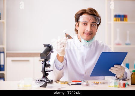 Male entomologist working in the lab on new species Stock Photo