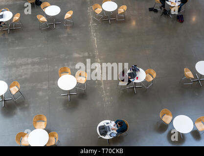 Students of an educational institution study the material studied on their own using laptops with educational programs, sitting at round tables in a u Stock Photo