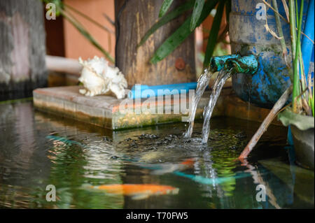Water flowing circulation system with koi fish swimming in pond Stock Photo
