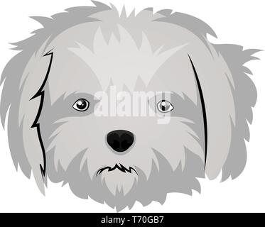 Maltese illustration vector on white background Stock Vector