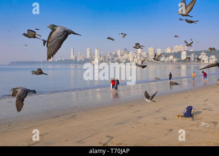 A flock of pigeons flies over Chowpatty Brach, off Marine Drivby the Arabian Sea in Mumbai, India, while some early morning visitors enjoy the scenery Stock Photo