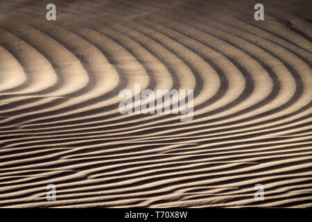Wind blowing over sand dunes Stock Photo