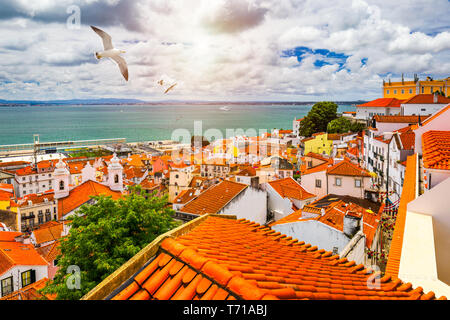 Lisbon, Portugal city skyline over the Alfama district with seagulls flying over the city. Summertime sunshine day cityscape in the Alfama, historic o Stock Photo