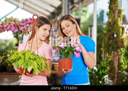 Mother and daughter buy plants together for the apartment in the garden center Stock Photo