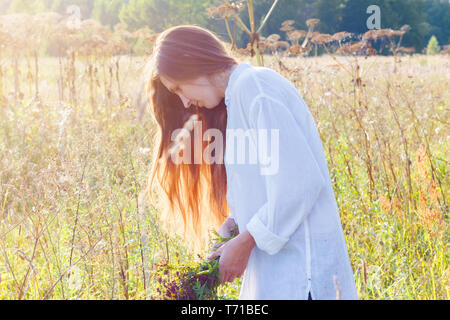 Girl collects wild flowers and herbs Stock Photo
