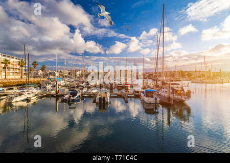 Moored fishing boats in the harbor at sunset with flying seagulls over the boats, Lagos, The Algarve, Portugal. Yachts moored in the marina, Lagos, Al Stock Photo