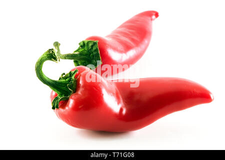 fresh spicy red chili picture Stock Photo