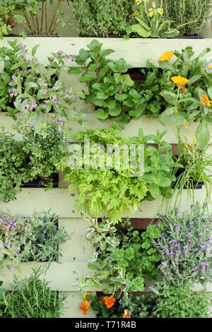 Pallet upcycled hi-res stock photography and images - Alamy Pallet Upcycled Hi-Res Stock Photography And Images - Alamy
