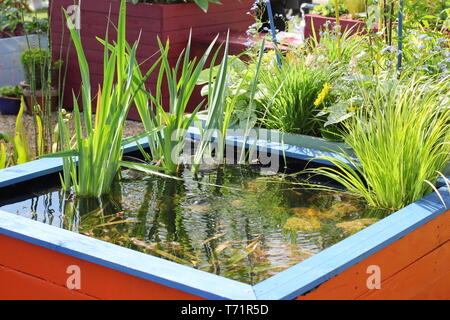 Small raised garden pond made from recycled wooden pallets Stock Photo