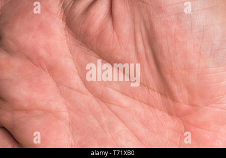 Palm of the hand of a Caucasian man. Stock Photo