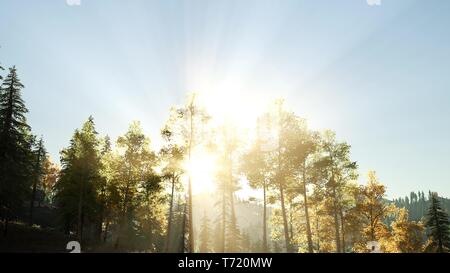 Sun Shining Through Pine Trees in Mountain Forest Stock Photo