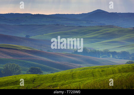 Tuscany foggy morning hill landscape Stock Photo