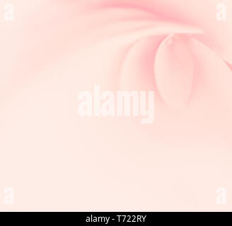 Soft pink floral background with begonia blossom. Macro image as a postcard with copyspace for your design. Stock Photo