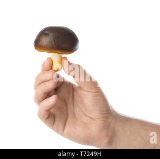 Hand with mushroom Stock Photo
