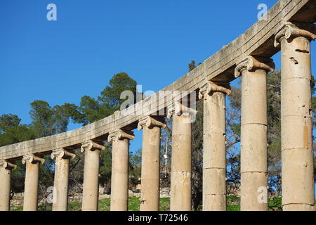 Forum columns in Gerasa, Jerash. Jordan Stock Photo