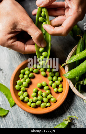 high angle view of a young caucasian man removing green peas from a pea pod with his fingers and putting them in a brown earthenware plate, on a gray 