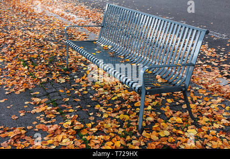 metal bench in the park Stock Photo