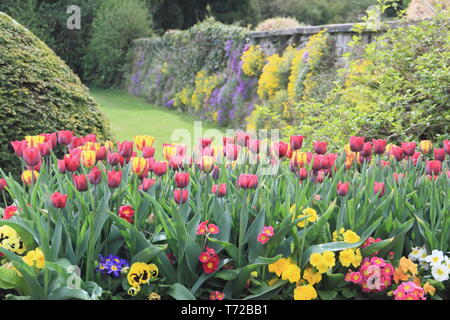 Tissington hall gardens in spring, near Ashbourne in the Peak District National PArk, Derbyshire,England, UK