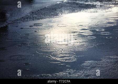 rain puddles on a pavement in city Stock Photo