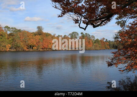 Black Park Country Park Stock Photo