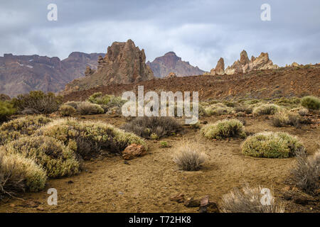 View of the landscape in Teide National Park. Tenerife, Canary Islands, Spain Stock Photo