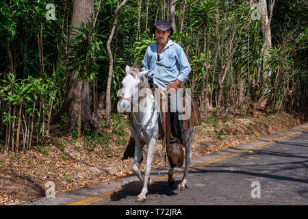 Horse and rider carrying plantains on the volcanic island of Ometepe in lake Nicaragua, Central America Stock Photo