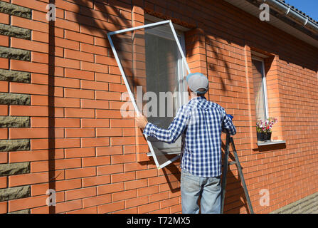 Mosquito wire screen installation. Contractor installing mosquito wire screen on house window to protect from insects. Stock Photo