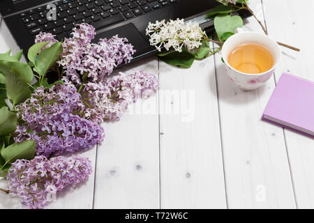 Beautiful branch of white and violet lilac flowers with opened violet note-book and black opened laptop, lying on the white wooden background with cup Stock Photo