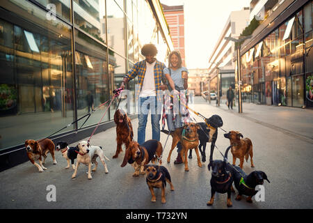 Smiling professional couple dog walker in the street with lots of dogs Stock Photo