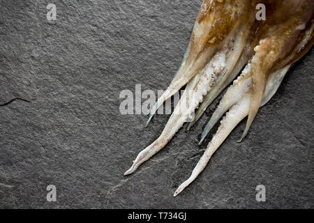 The tentacles of a single, raw, uncooked cuttlefish, Sepia officinalis, that was caught in the English Channel. It is destined for a stew in which it  Stock Photo