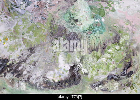 New delicate texture in your admirable stylish tone. High resolution photo. Stock Photo
