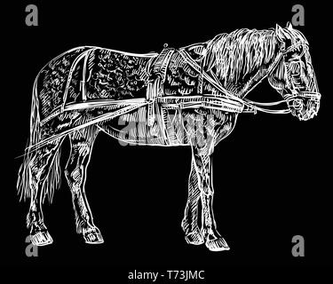 Vector hand drawing Illustration horse standing in profile. Monochrome vector hand drawing sketch illustration in white color isolated on black backgr Stock Vector