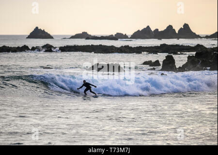 Surfing at dusk in Houghton Bay; Wellington, New Zealand Stock Photo