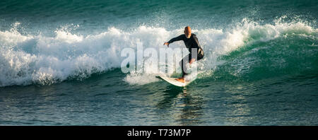 Surfing at dusk in Houghton Bay; Wellington, New Zealand Stock Photo