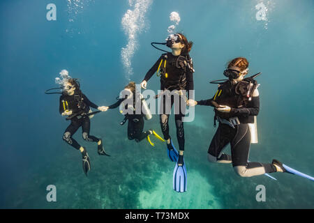 Scuba divers in Roatan Marine Park, West End Wall dive site; Roatan, Honduras