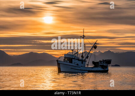 Seiners anchored in Amalga Harbor at sunset awaiting a commercial salmon opening, Southeast Alaska; Juneau, Alaska, United States of America Stock Photo