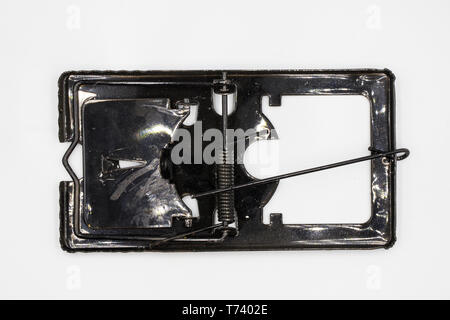 steel mouse trap and bait, dirty mouse trap isolated on white background High resolution image gallery. Stock Photo