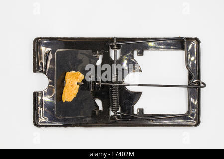 steel mouse trap and bait, dirty mouse trap isolated on white background High resolution image gallery. Stock Photo