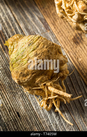 Raw Organic Brown Celery Root Ready to Cook Stock Photo