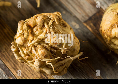 Raw Organic Brown Celery Root Ready to Cook Stock Photo