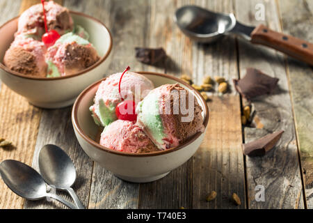 Sweet Spumoni Ice Cream with Cherry Pistachio and Chocolate Stock Photo