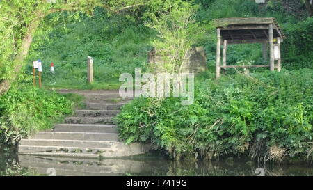 Woodland Photo taken in Bristol UK on a spring day Stock Photo