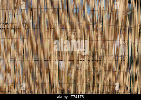 Bamboo cane fence with wire on a green metal frame Stock Photo
