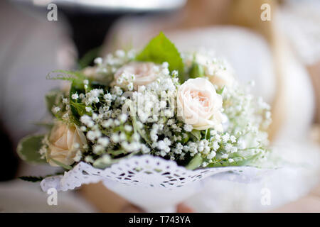 Delicate bouquet of bright pink roses and a branch of gypsophila Stock Photo