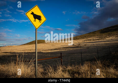 Yellow cattle crossing sign in front of desert hills Stock Photo