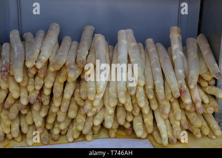Fresh asparagus is sold at the market. Stock Photo