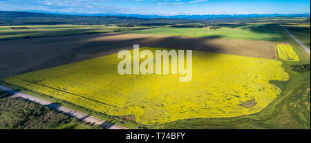 Aerial view of a flowering canola field with patchy clouds shadowing the fields and mountains and blue sky in the background Stock Photo